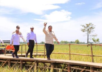 Presiden Prabowo Subianto Temui Petani di Panen Raya Nasional, Harapan Baru Ketahanan Pangan Indonesia