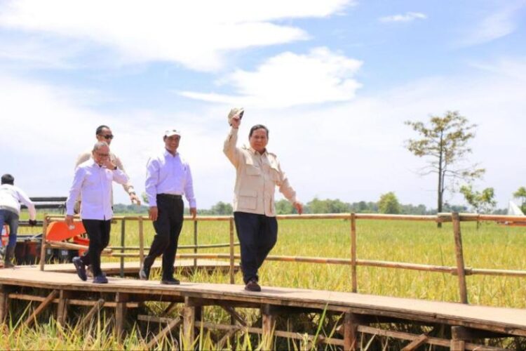 Presiden Prabowo Subianto Temui Petani di Panen Raya Nasional, Harapan Baru Ketahanan Pangan Indonesia