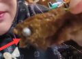 Viral Guru Tunjukkan Benda Mirip Peluru di Menu MBG, SPPG Lampung Utara Dihentikan