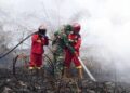 Karhutla Masih Mengancam Indonesia, Pemerintah Perkuat Water Bombing dan Operasi Modifikasi Cuaca