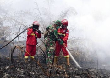 Karhutla Masih Mengancam Indonesia, Pemerintah Perkuat Water Bombing dan Operasi Modifikasi Cuaca
