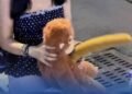 Konten Boneka di Jalan Tunjungan Surabaya Viral, Sejumlah Perempuan Ungkap Pengalaman
