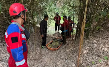 Viral Ibu Muda di Malang Dilaporkan Hilang 11 Hari Setelah Melahirkan, Ditemukan Terluka