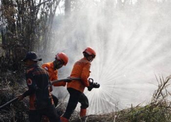 Asap dan Kerusakan Lingkungan Jadi Sorotan, Mahasiswa Tagih Langkah Nyata Pemerintah