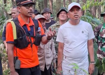 Gunung Ciremai Terbakar, KDM Ajak Warga Bergerak Bersama dan Siapkan Honor Rp250 Ribu