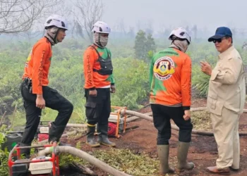 Prabowo Soroti Dugaan Perusahaan Asing Terkait Karhutla, Nama Pelanggar Akan Diumumkan